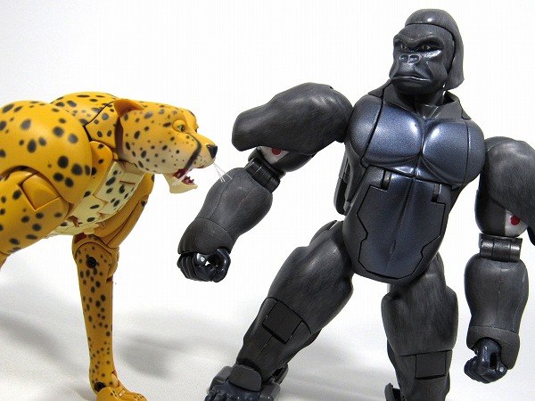 Masterpiece Cheetor Side By Side Comparison Photos   Original Toy MP Optimus Primal 04 (4 of 10)